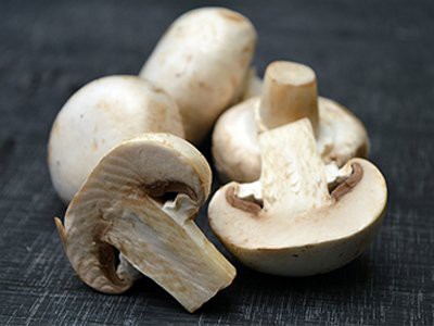 dogs-eat-mushrooms