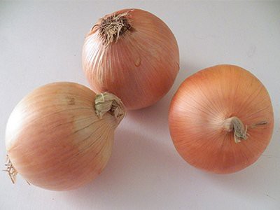 can dogs eat onions symptoms