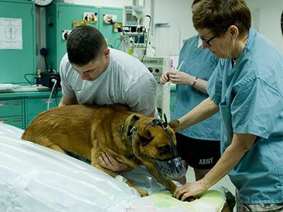 fear-of-the-veterinarian