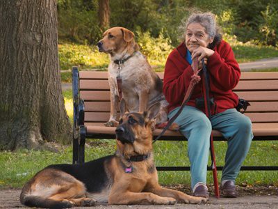 Empty Nest Pets