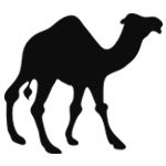 shaheen-camel-the-desert-ship