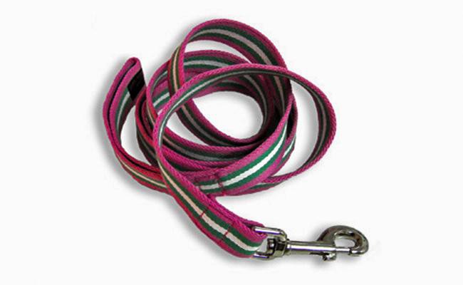 leash-restraints-first-aid-kit-for-pets