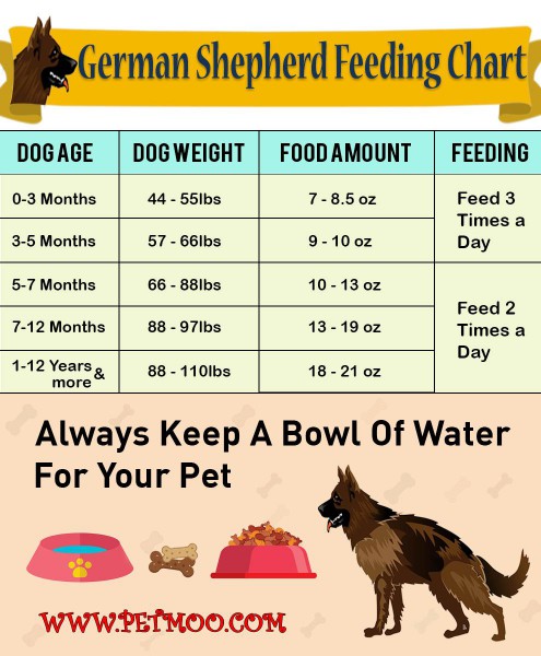 german-shepherd-feeding-charts