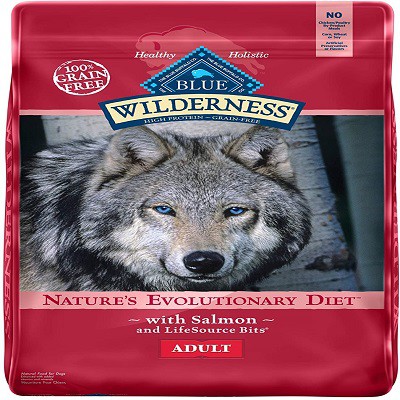 blue-buffalo-wilderness-salmon-recipe-grain-free-dry-dog-food