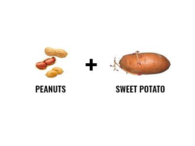 Peanuts And Sweet Potato