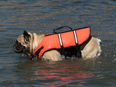 a-life-vest