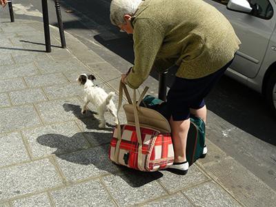 check-the-pavement-or-sidewalks