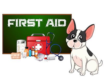 first-aid-kit