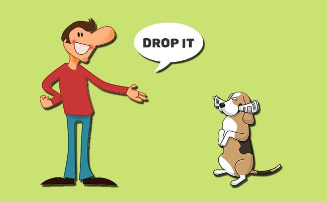 drop-it