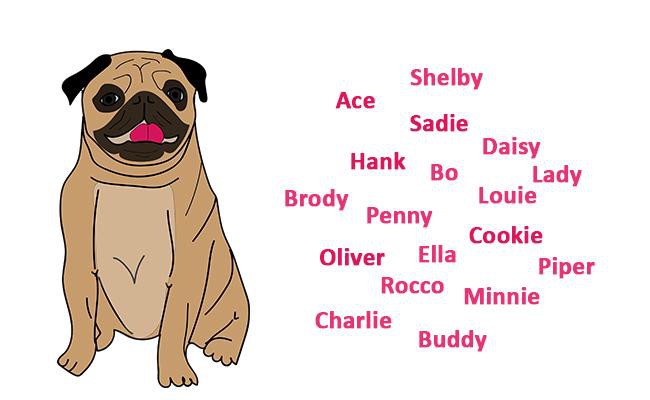 cool pug names