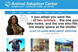 animal-adoption-center