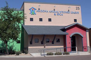 arizona-animal-welfare-league-arizona