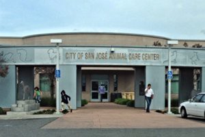 city-of-san-jose-animal-care-services-california