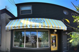 multnomah-county-animal-services-oregon