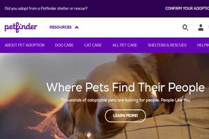 pet-finder