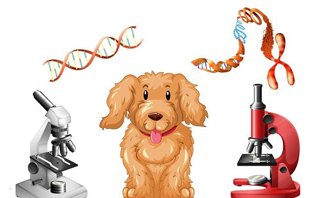 biology-dog-names