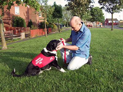 diabetic-alert-dogs-service-dogs