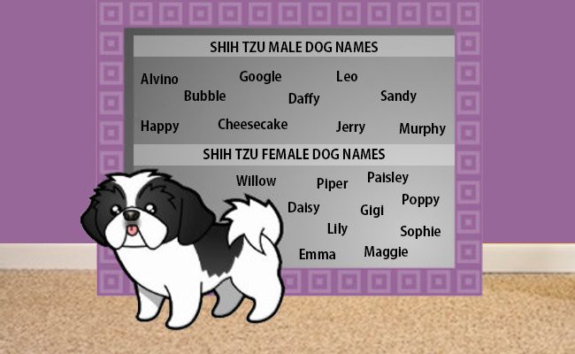 top shih tzu names