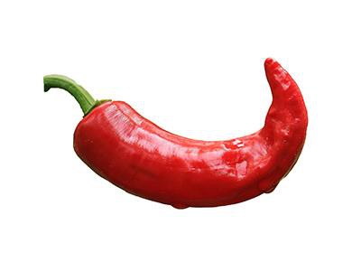 chili-pepper