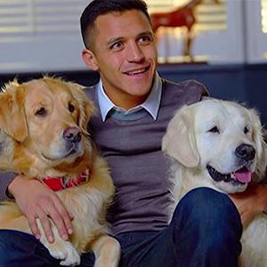 alexis sanchez Sports Stars And Their Fabulous Pets