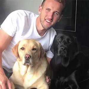 harry kane Sports Stars And Their Fabulous Pets
