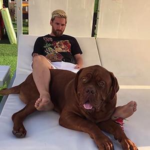 lionel messi Sports Stars And Their Fabulous Pets
