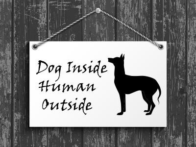 a-dog-signboard