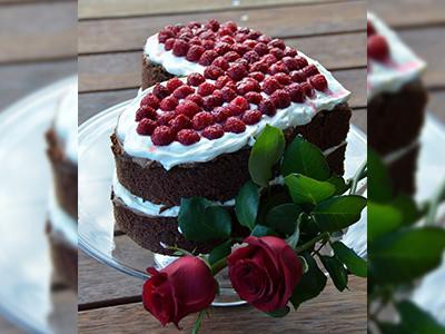 heart-shaped-dog-cakes