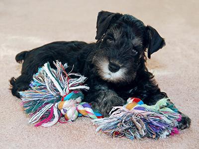 non-toxic-rope-toys