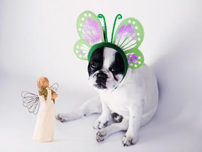 susan-lordis-angel-of-friendship
