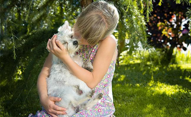 how-to-show-a-dog-you-love-them